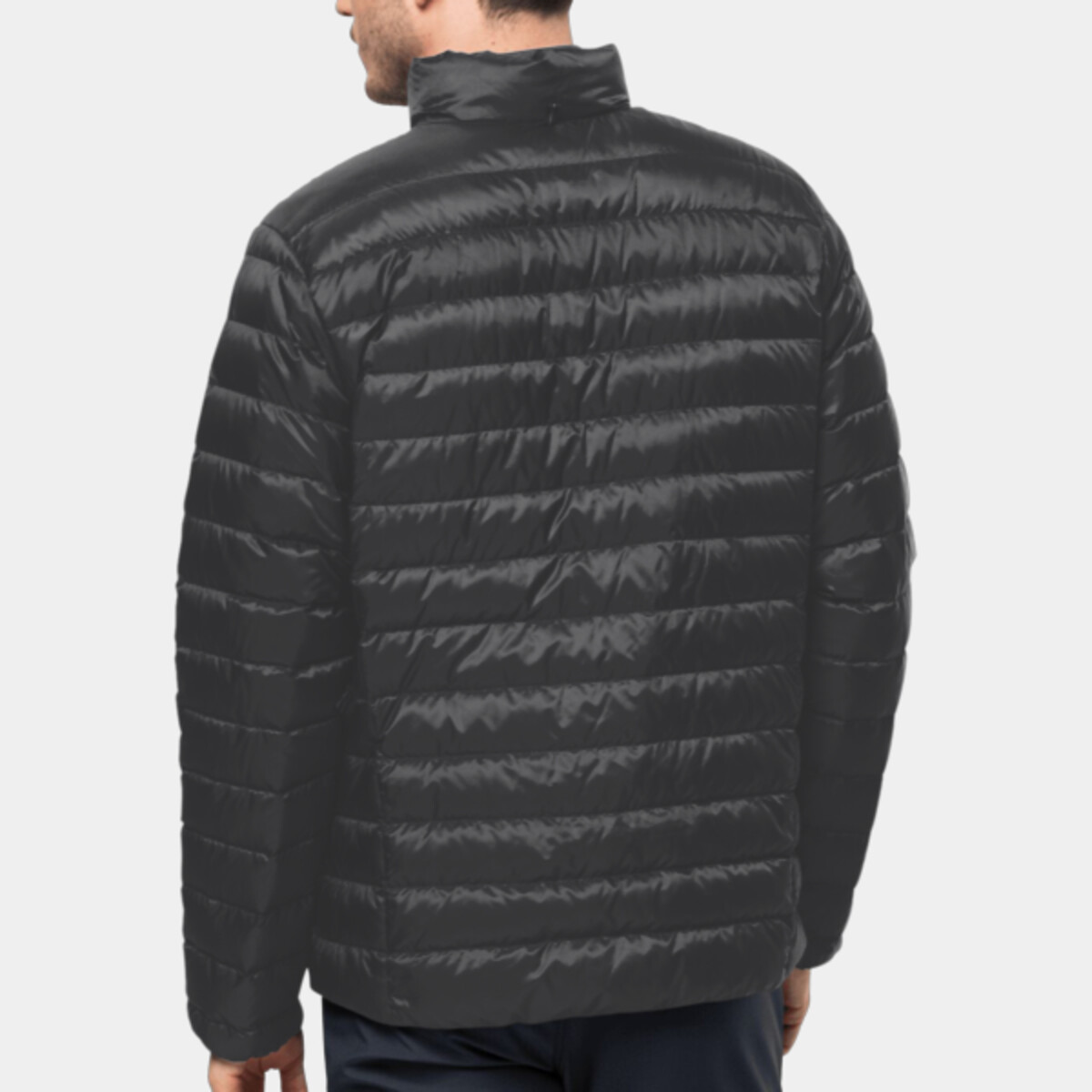 Back