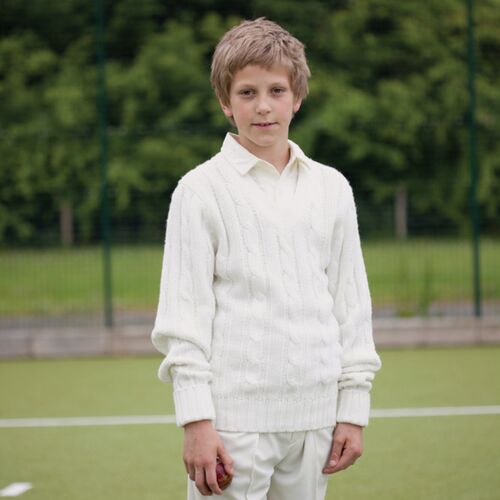 Cricket Sweater Thumbnail